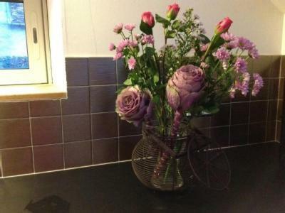 Les Douillets De Holiday home Sancerre